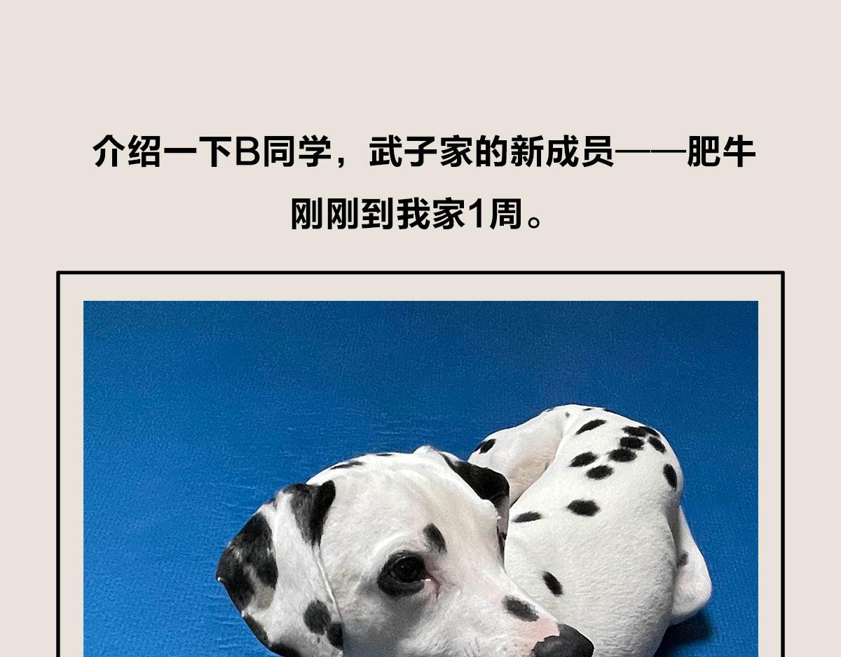 《1小时看懂相对论》有只卖狗的 第47页