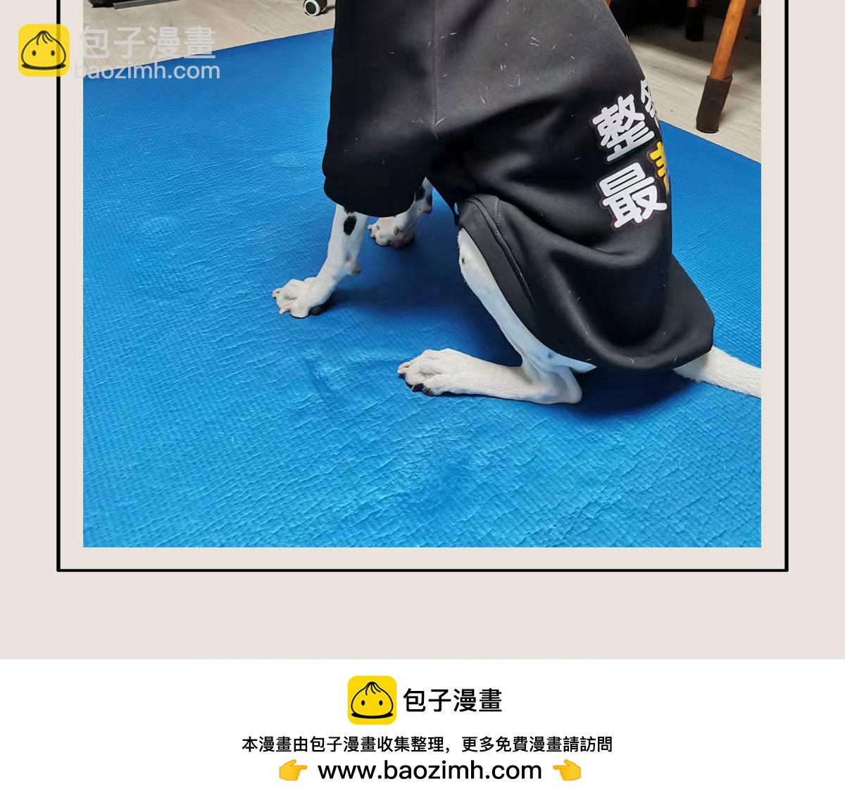 《1小时看懂相对论》有只卖狗的 第50页