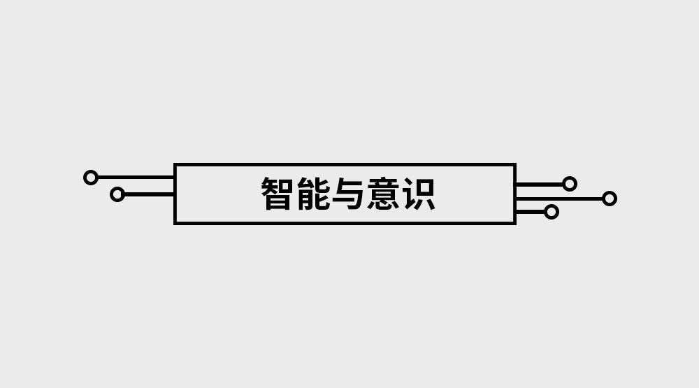 《1小时看懂相对论》智能与意识 第1页