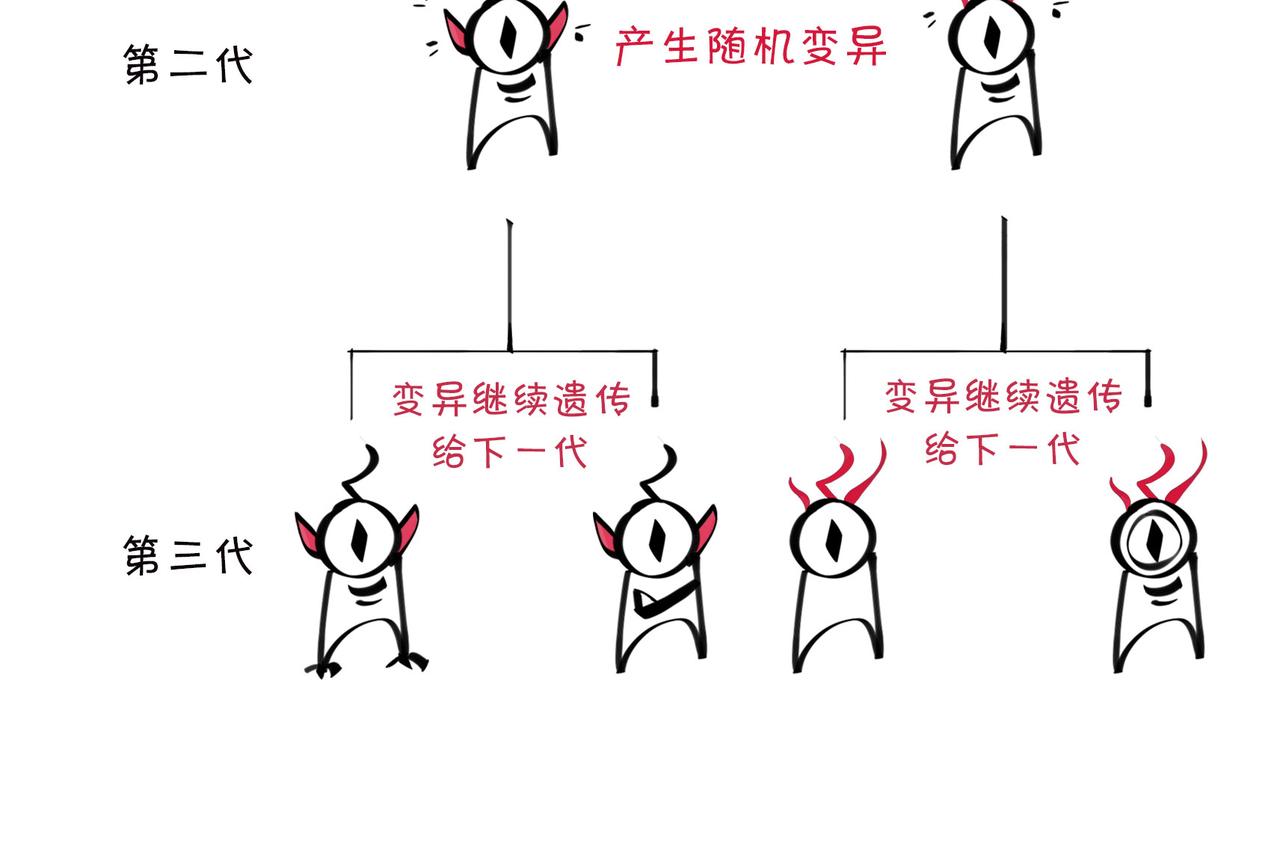 《1小时看懂相对论》进化就像一款电子游戏 第14页