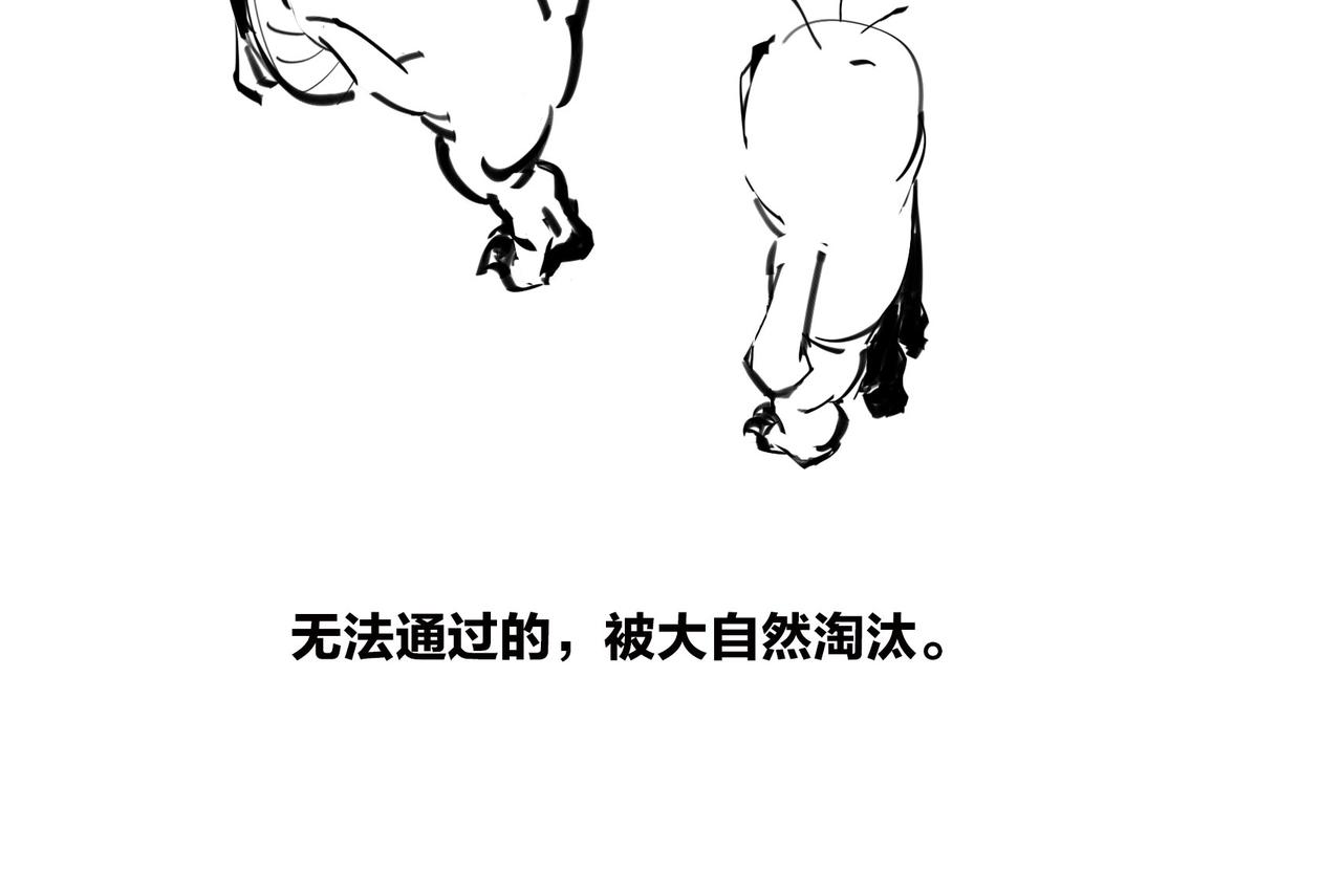 《1小时看懂相对论》进化就像一款电子游戏 第24页