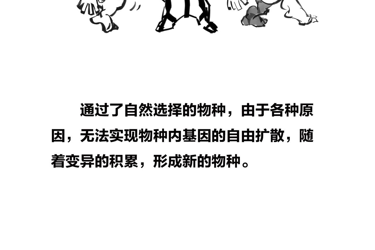 《1小时看懂相对论》进化就像一款电子游戏 第26页