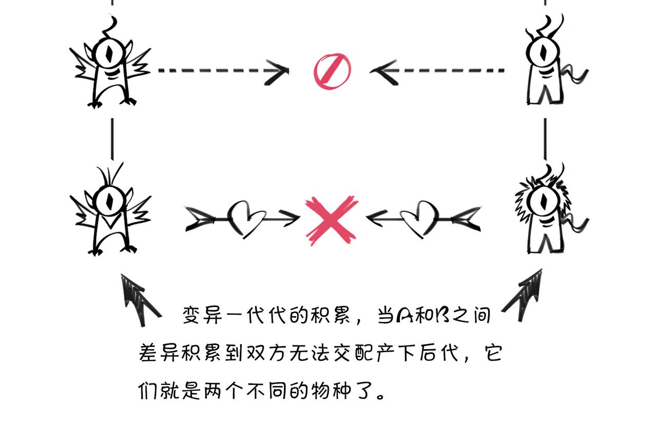 《1小时看懂相对论》进化就像一款电子游戏 第28页