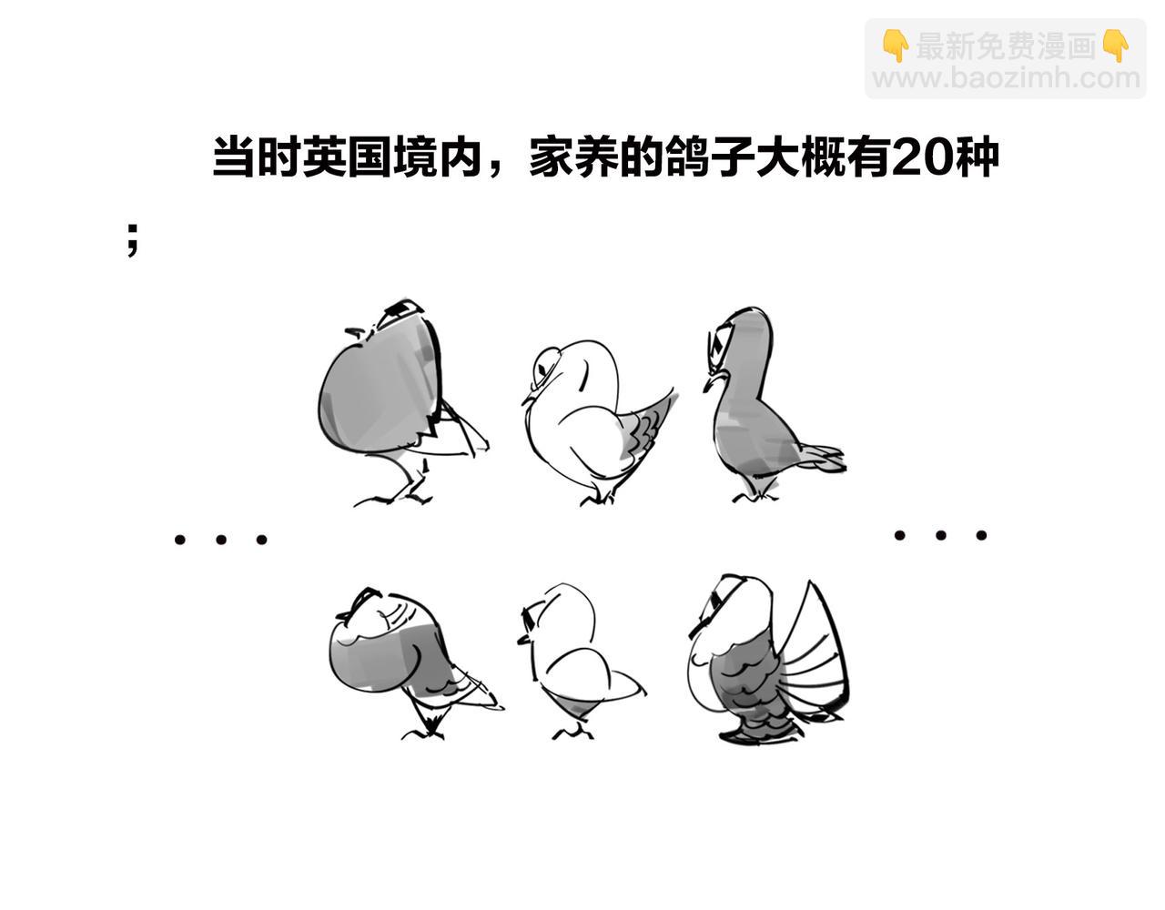 《1小时看懂相对论》儿子不像爸，有没有邻居来帮忙？ 第13页