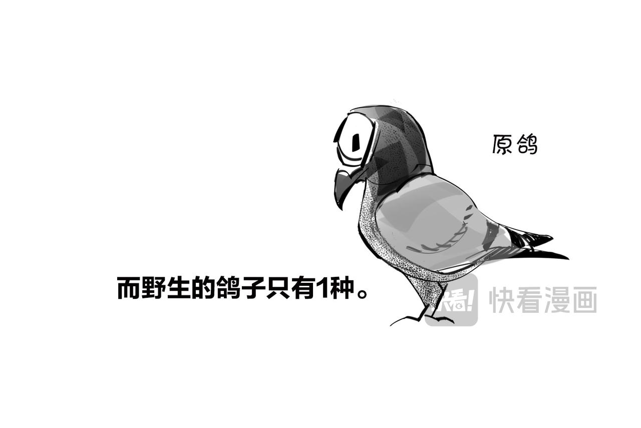 《1小时看懂相对论》儿子不像爸，有没有邻居来帮忙？ 第14页