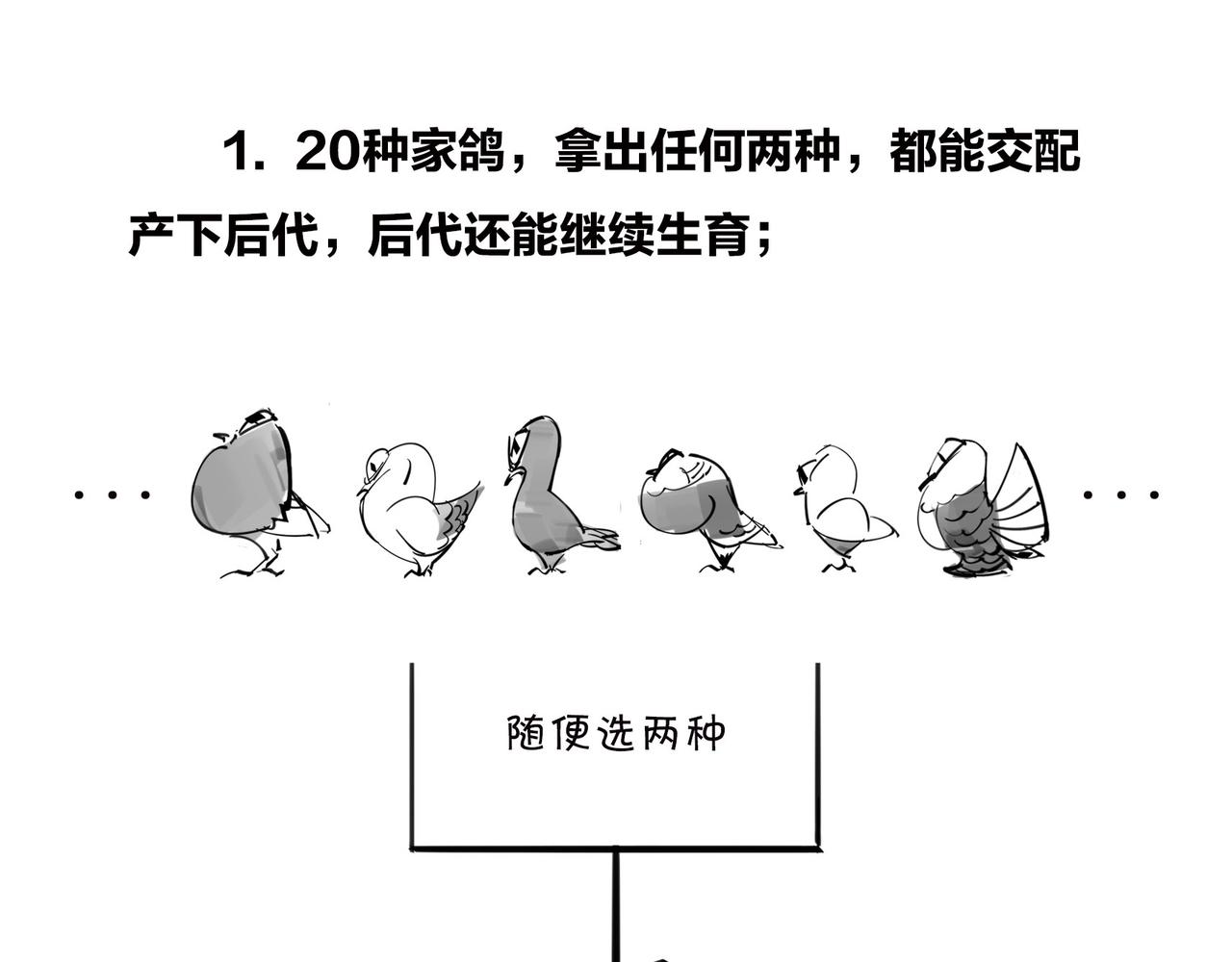 《1小时看懂相对论》儿子不像爸，有没有邻居来帮忙？ 第17页
