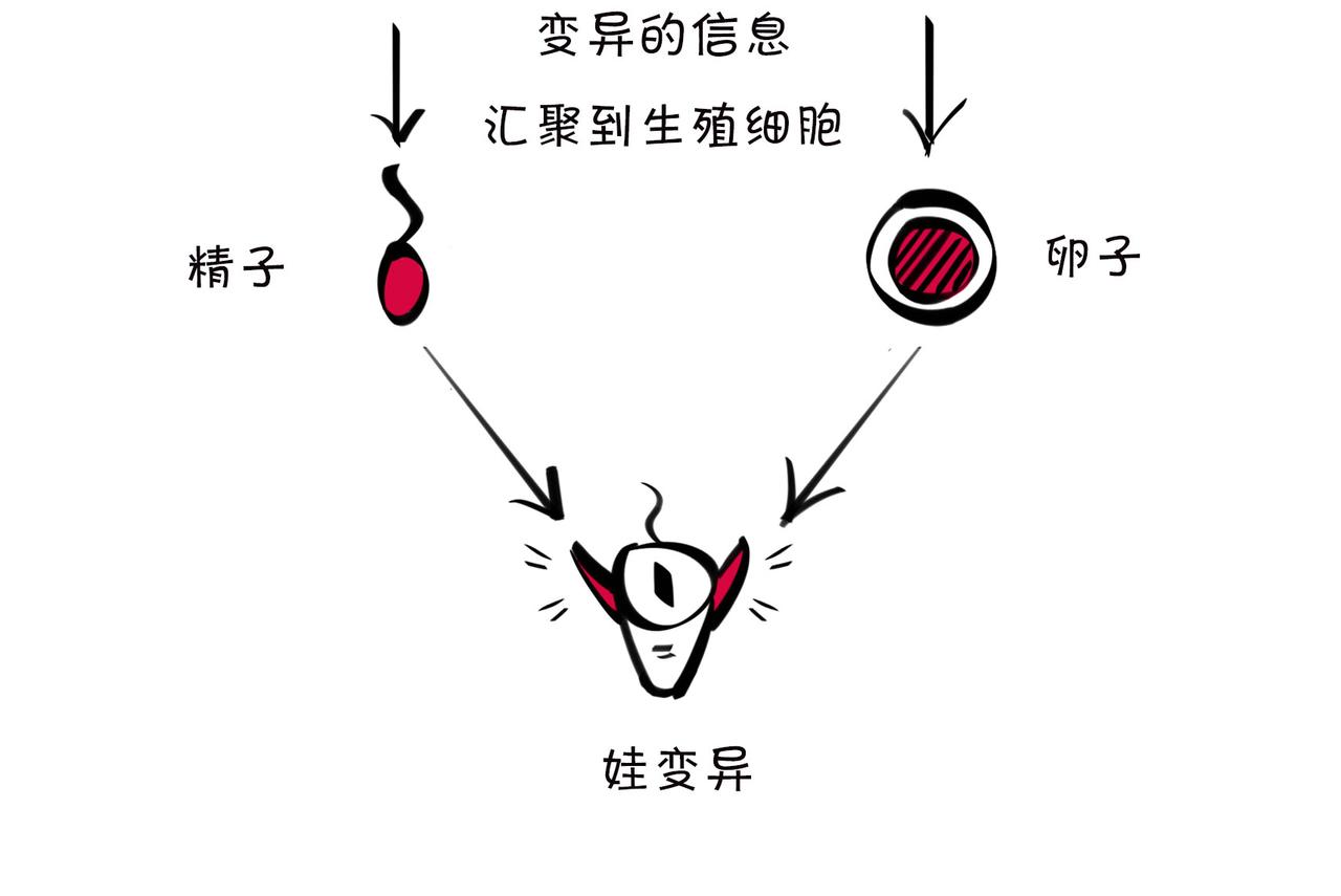 《1小时看懂相对论》儿子不像爸，有没有邻居来帮忙？ 第38页