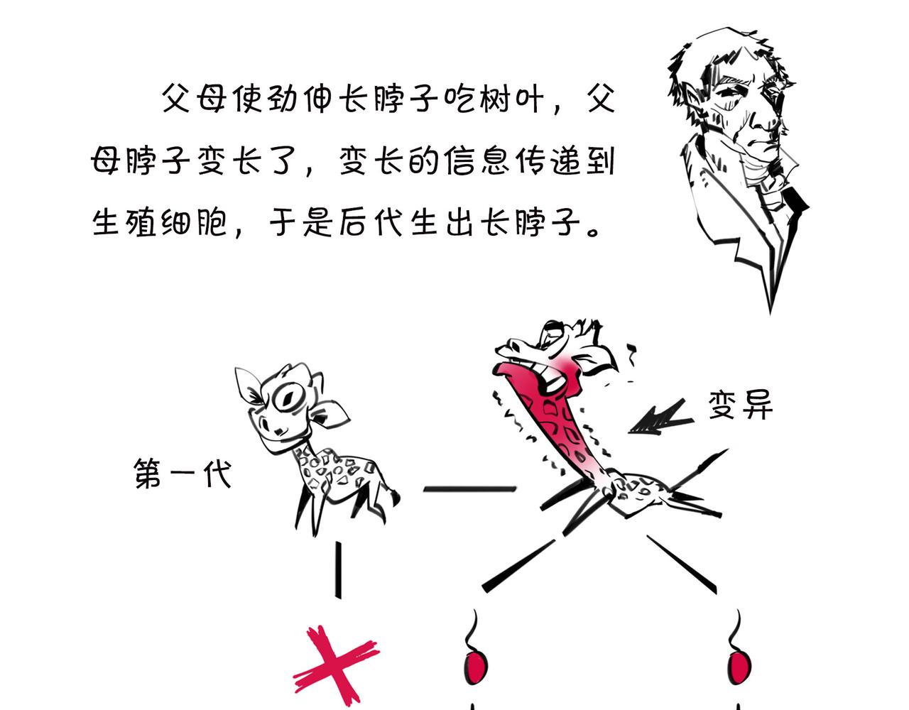 《1小时看懂相对论》儿子不像爸，有没有邻居来帮忙？ 第43页