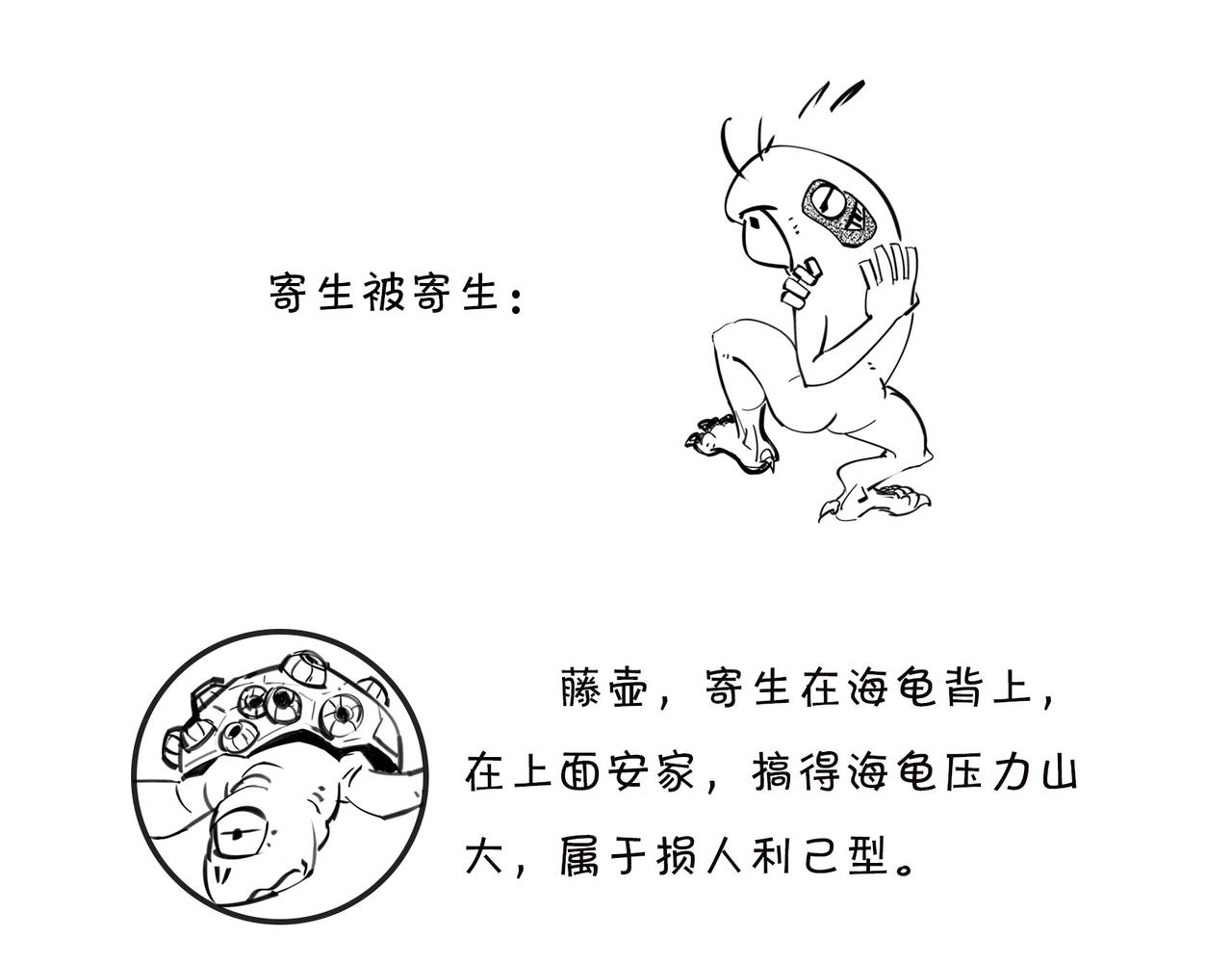 《1小时看懂相对论》绝地求生？血腥大地？生活是一局现实版吃鸡游戏么？ 第16页