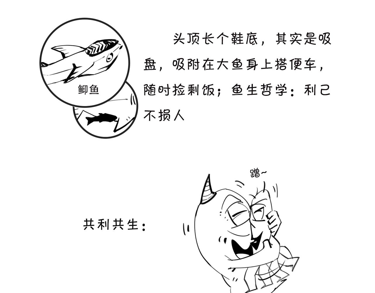 《1小时看懂相对论》绝地求生？血腥大地？生活是一局现实版吃鸡游戏么？ 第18页