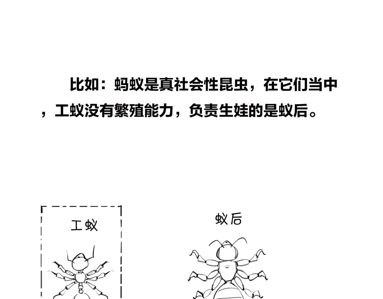 《1小时看懂相对论》生物选秀大会，评委竟然会.. 第32页