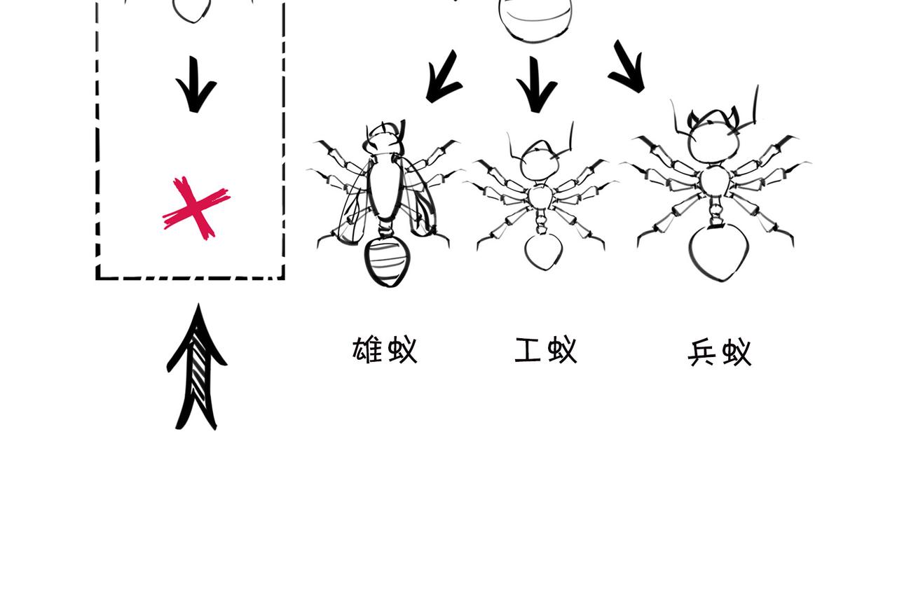《1小时看懂相对论》生物选秀大会，评委竟然会.. 第33页