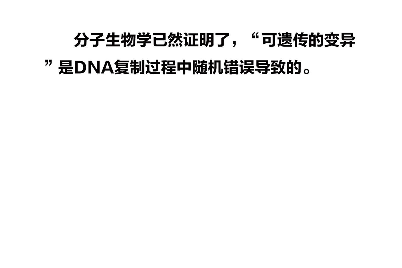 《1小时看懂相对论》佩奇、麦兜、八戒？未来，它有方向么？ 第11页