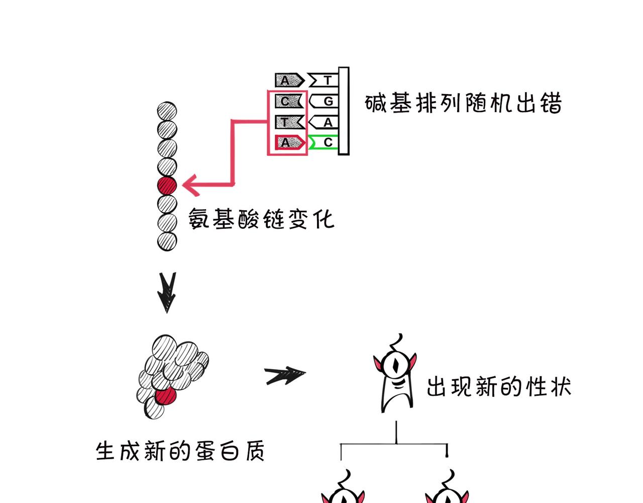 《1小时看懂相对论》佩奇、麦兜、八戒？未来，它有方向么？ 第12页