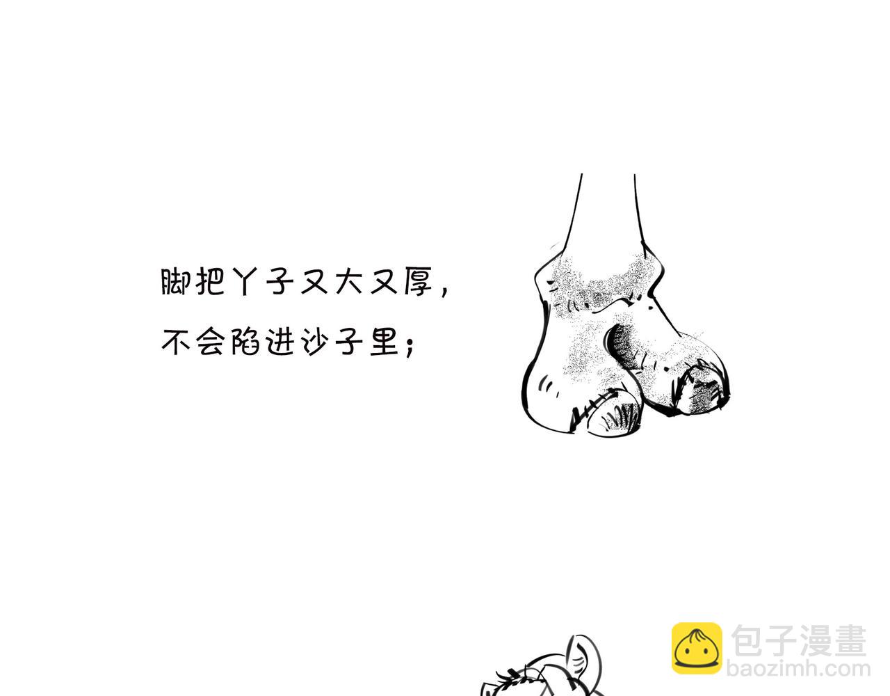 《1小时看懂相对论》佩奇、麦兜、八戒？未来，它有方向么？ 第26页