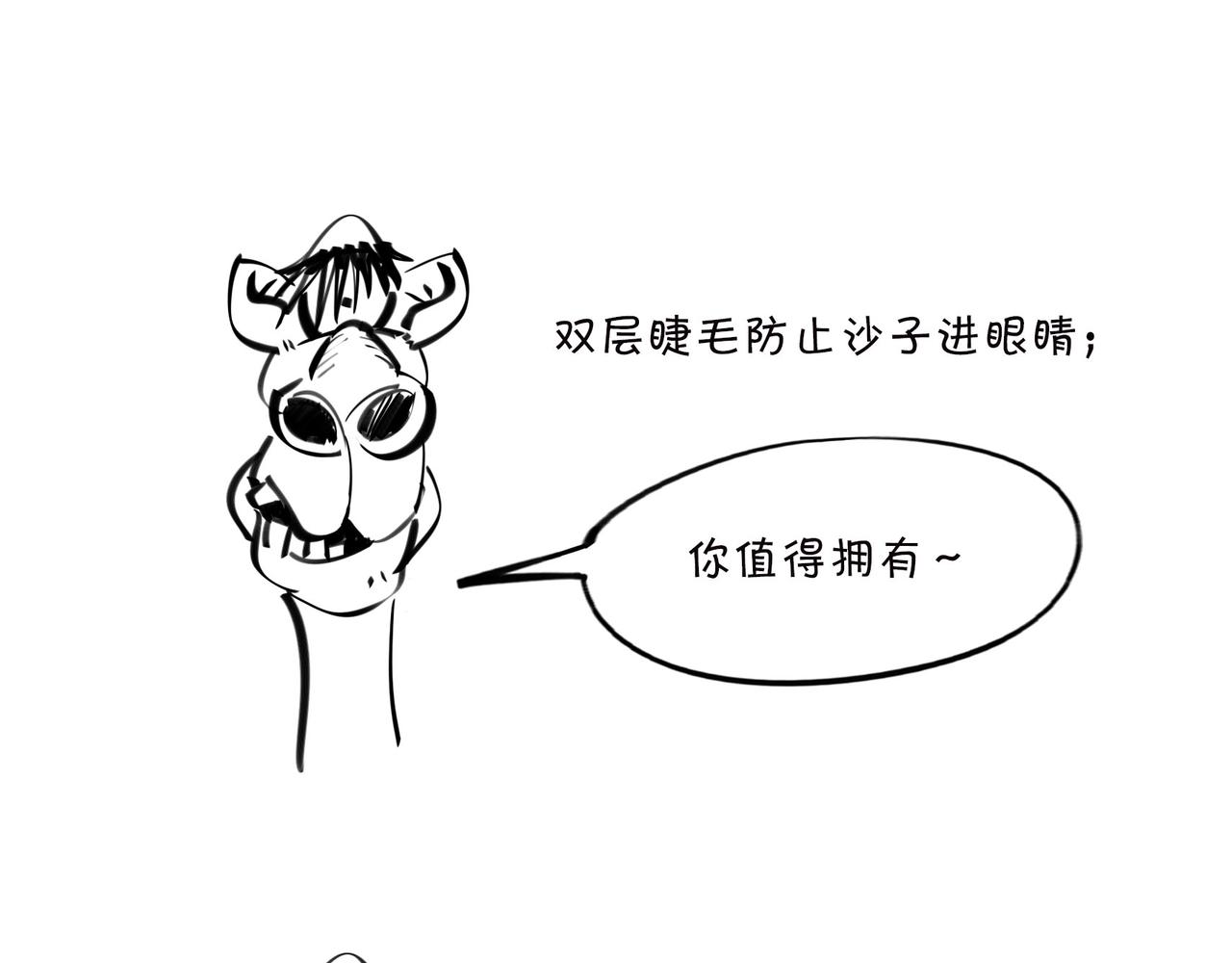 《1小时看懂相对论》佩奇、麦兜、八戒？未来，它有方向么？ 第28页
