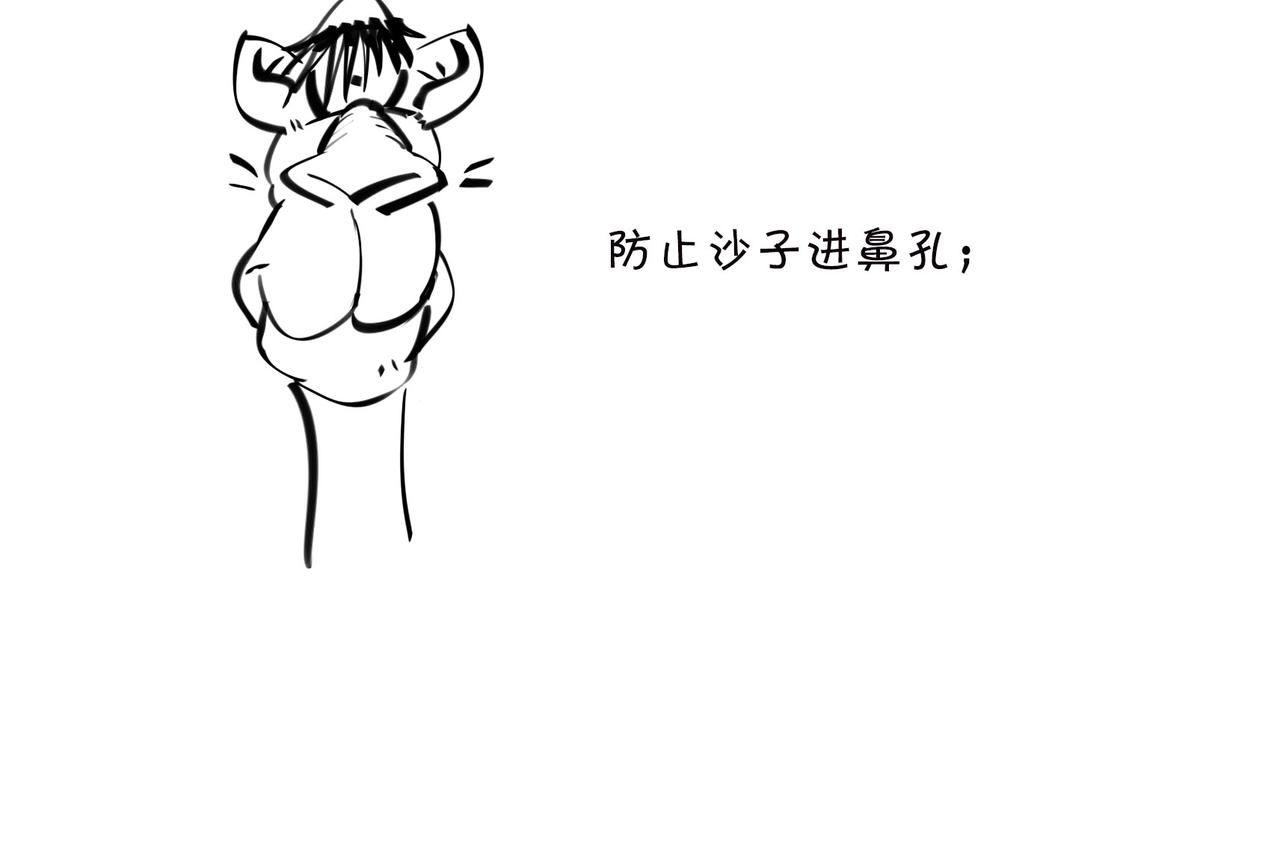 《1小时看懂相对论》佩奇、麦兜、八戒？未来，它有方向么？ 第29页