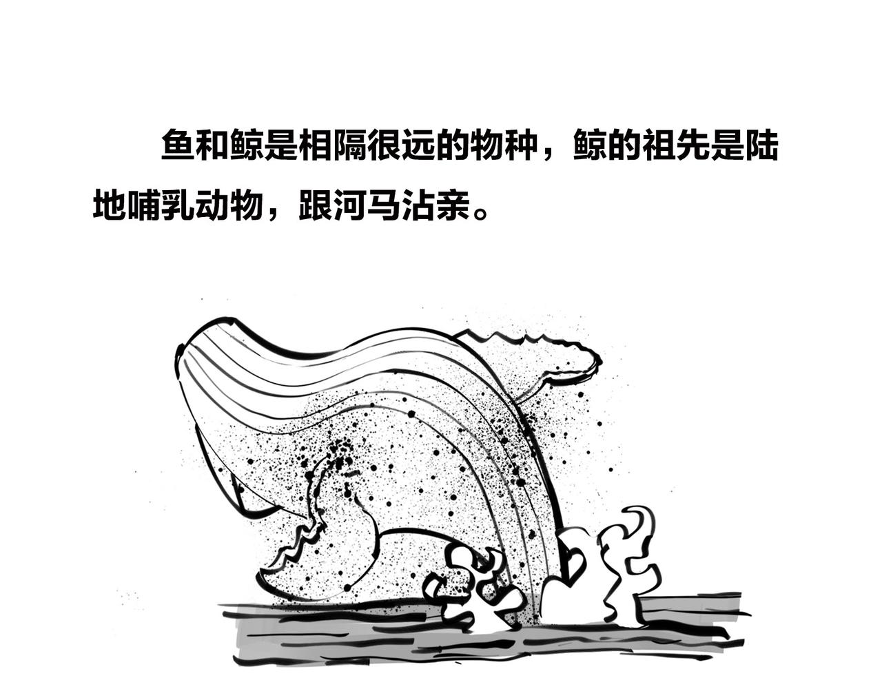 《1小时看懂相对论》佩奇、麦兜、八戒？未来，它有方向么？ 第34页