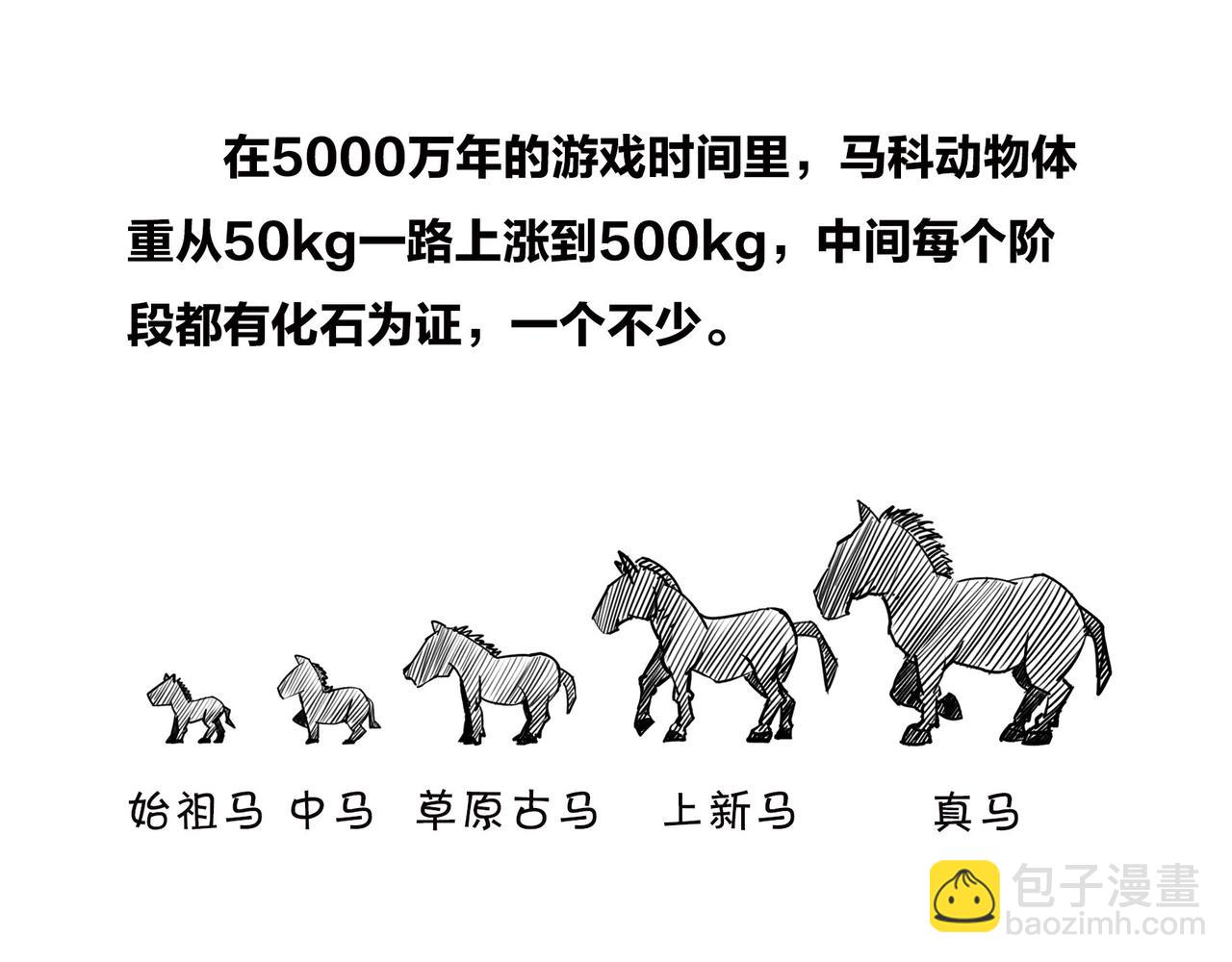 《1小时看懂相对论》生物进化是快是慢？渐变VS突变 第14页