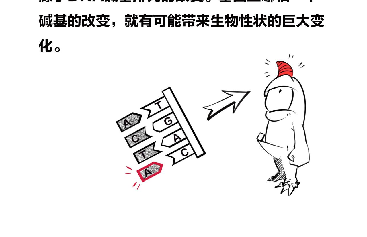 《1小时看懂相对论》生物进化是快是慢？渐变VS突变 第33页