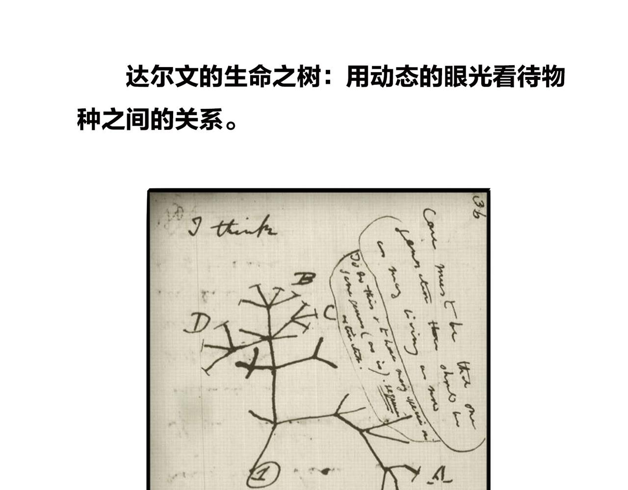 《1小时看懂相对论》进化的套路——生命之树 第16页