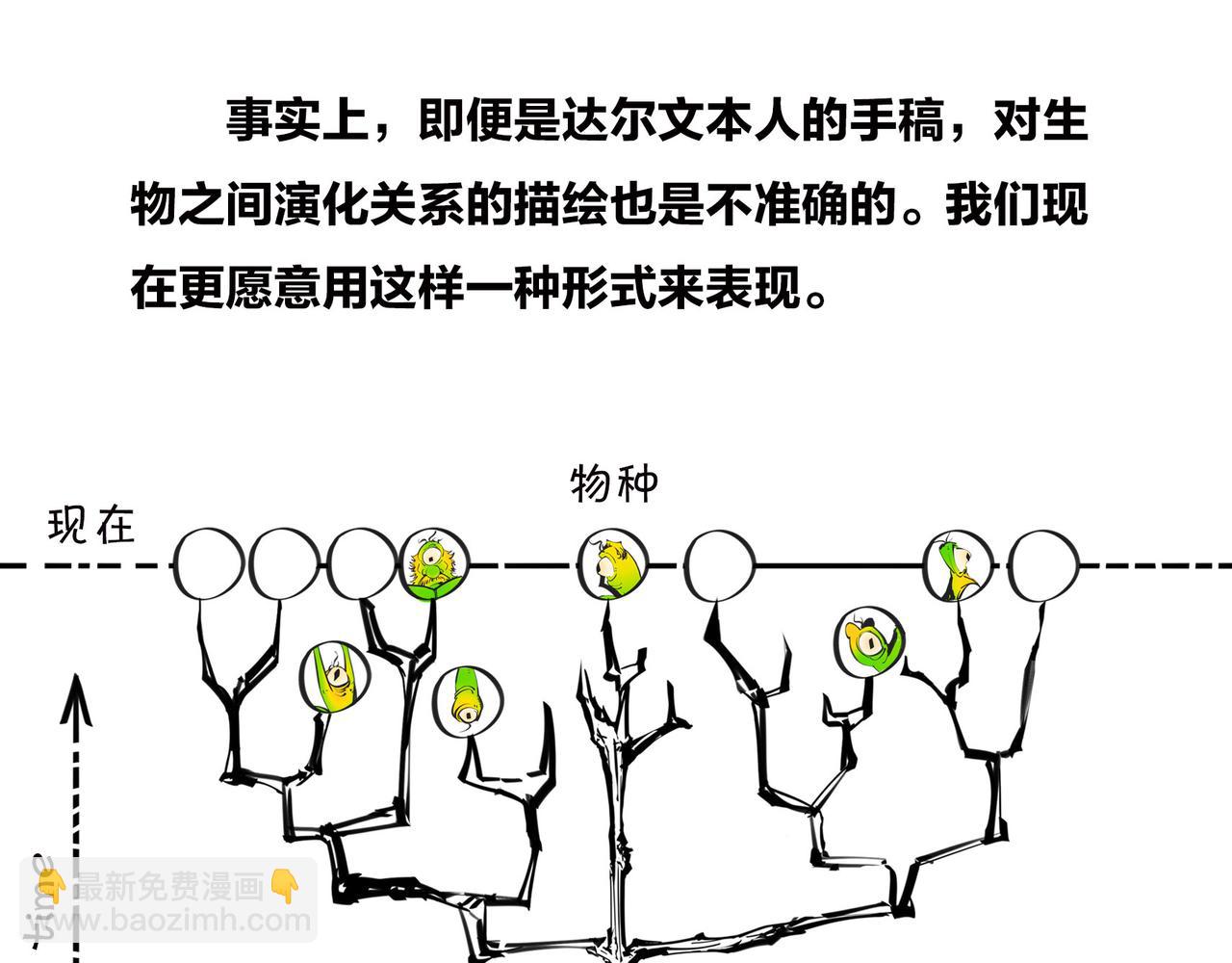《1小时看懂相对论》进化的套路——生命之树 第20页