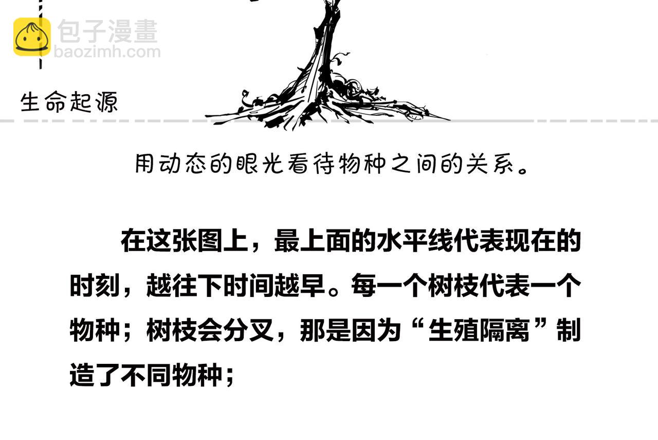《1小时看懂相对论》进化的套路——生命之树 第21页
