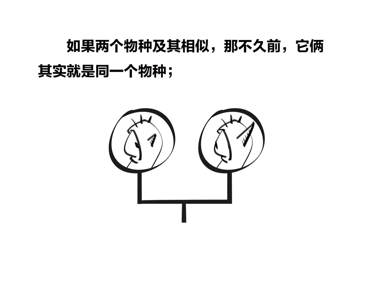 《1小时看懂相对论》进化的套路——生命之树 第22页