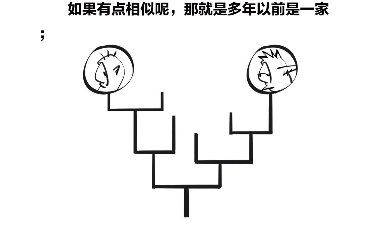 《1小时看懂相对论》进化的套路——生命之树 第23页