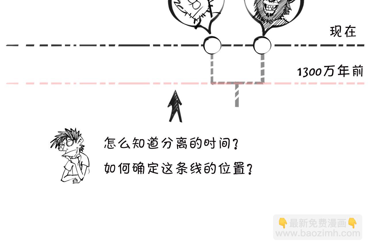 《1小时看懂相对论》进化的套路——生命之树 第33页