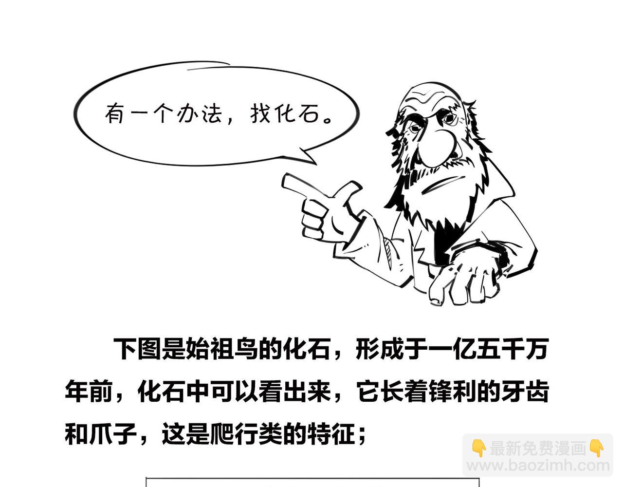 《1小时看懂相对论》进化的套路——生命之树 第34页