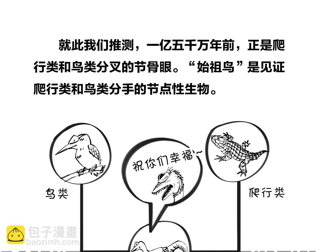 《1小时看懂相对论》进化的套路——生命之树 第36页