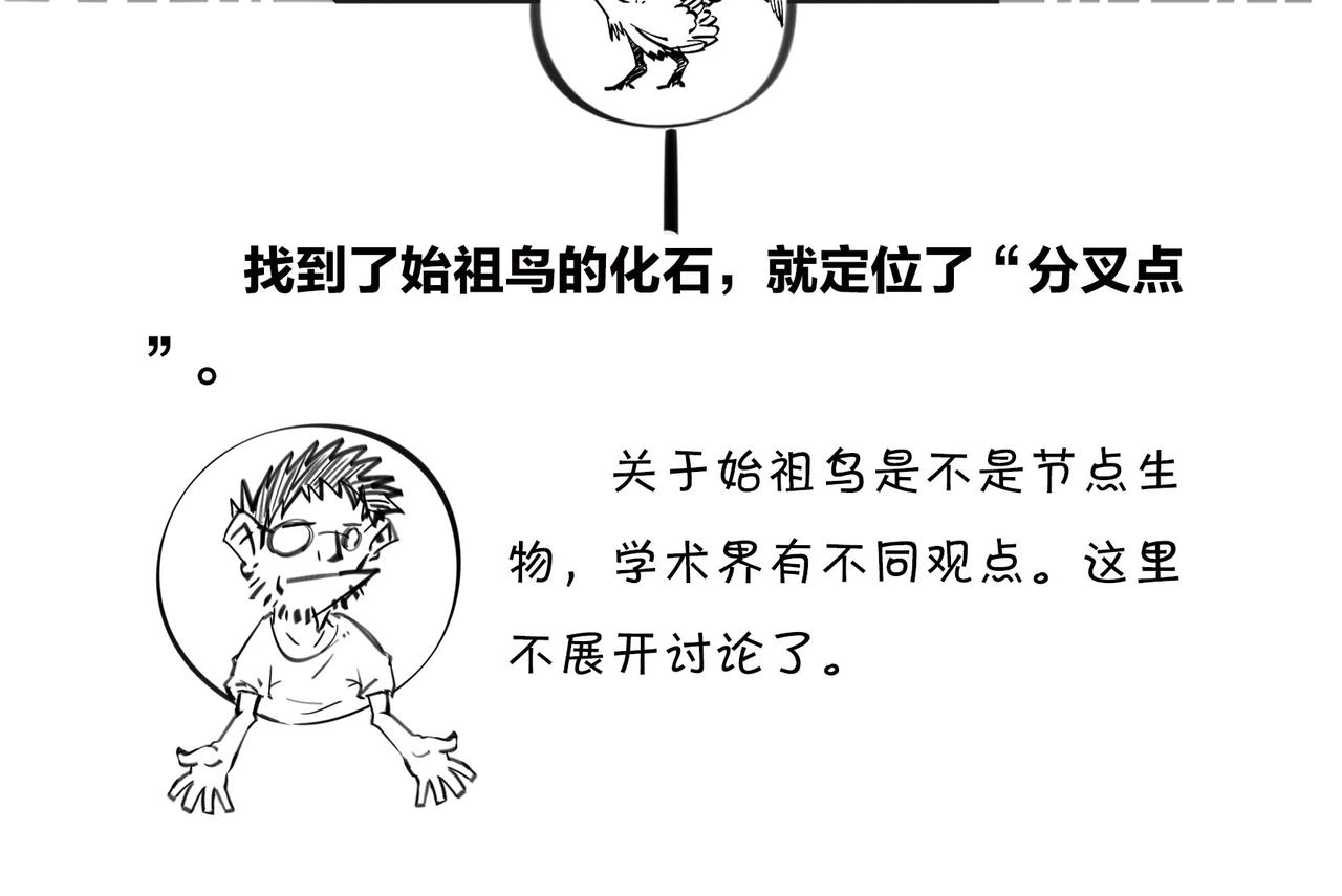 《1小时看懂相对论》进化的套路——生命之树 第37页