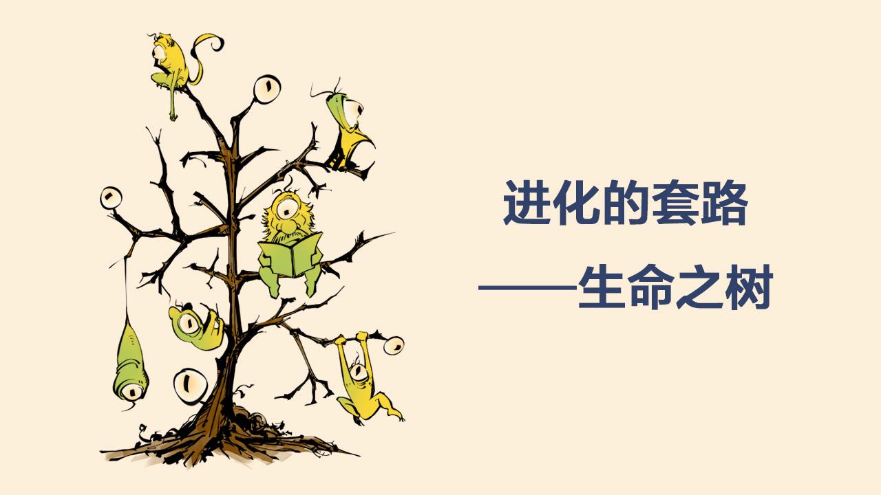 《1小时看懂相对论》进化的套路——生命之树 第3页