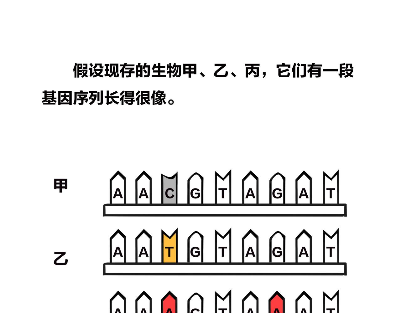 《1小时看懂相对论》进化的套路——生命之树 第46页