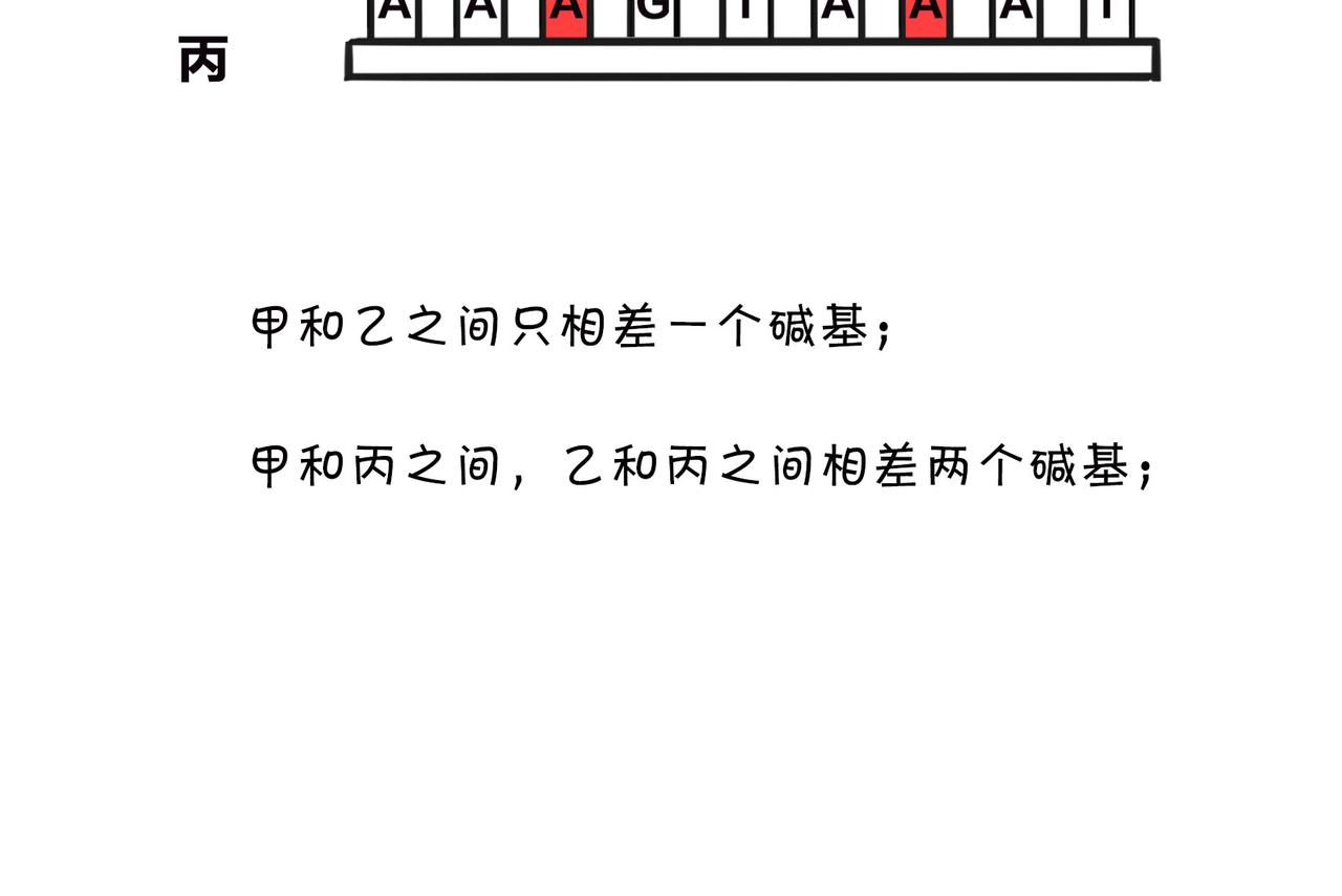 《1小时看懂相对论》进化的套路——生命之树 第47页