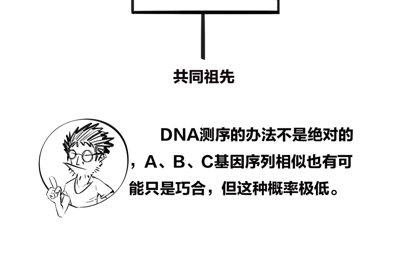 《1小时看懂相对论》进化的套路——生命之树 第49页