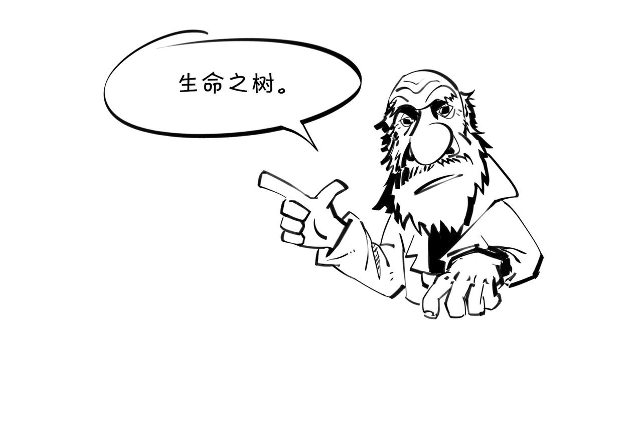 《1小时看懂相对论》进化的套路——生命之树 第7页