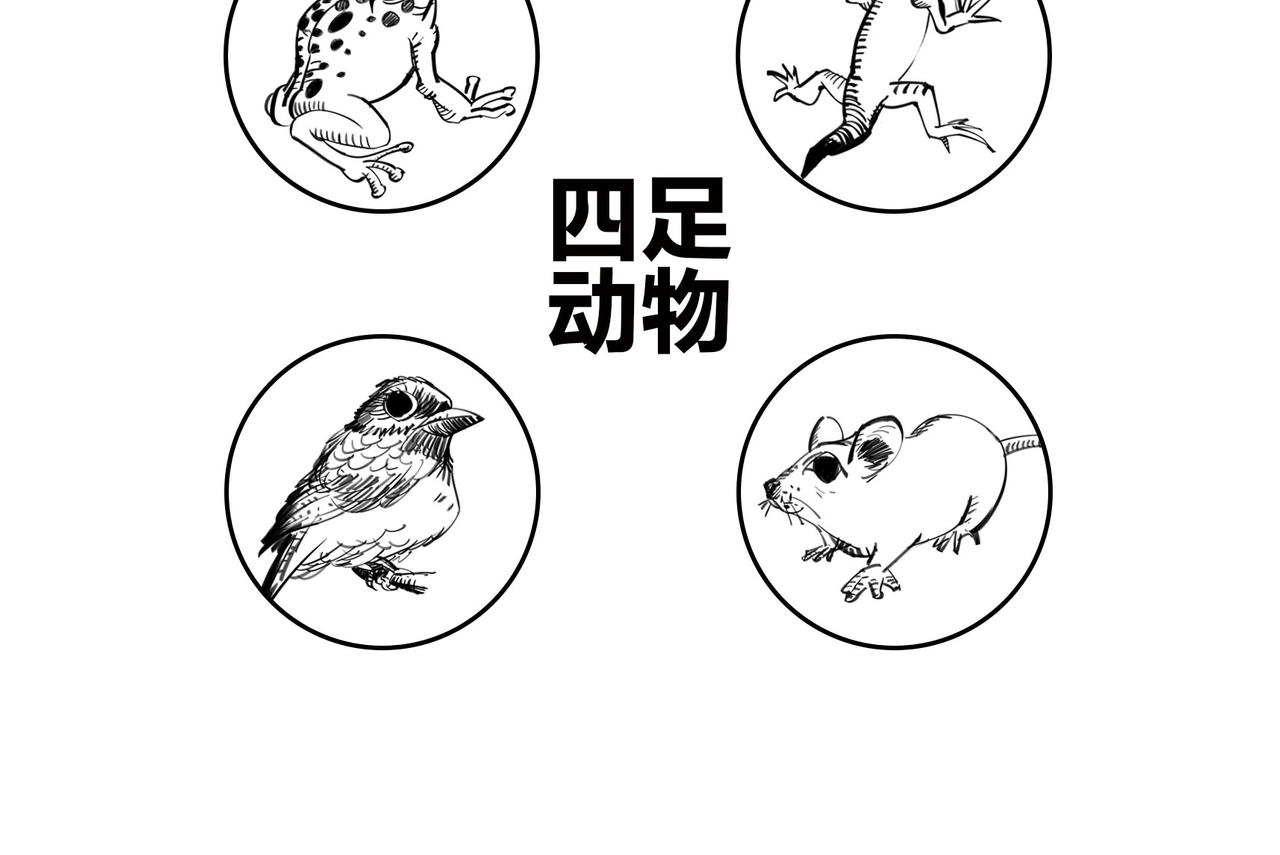 《1小时看懂相对论》火箭粗不粗，那得看…马屁肥不肥？ 第20页