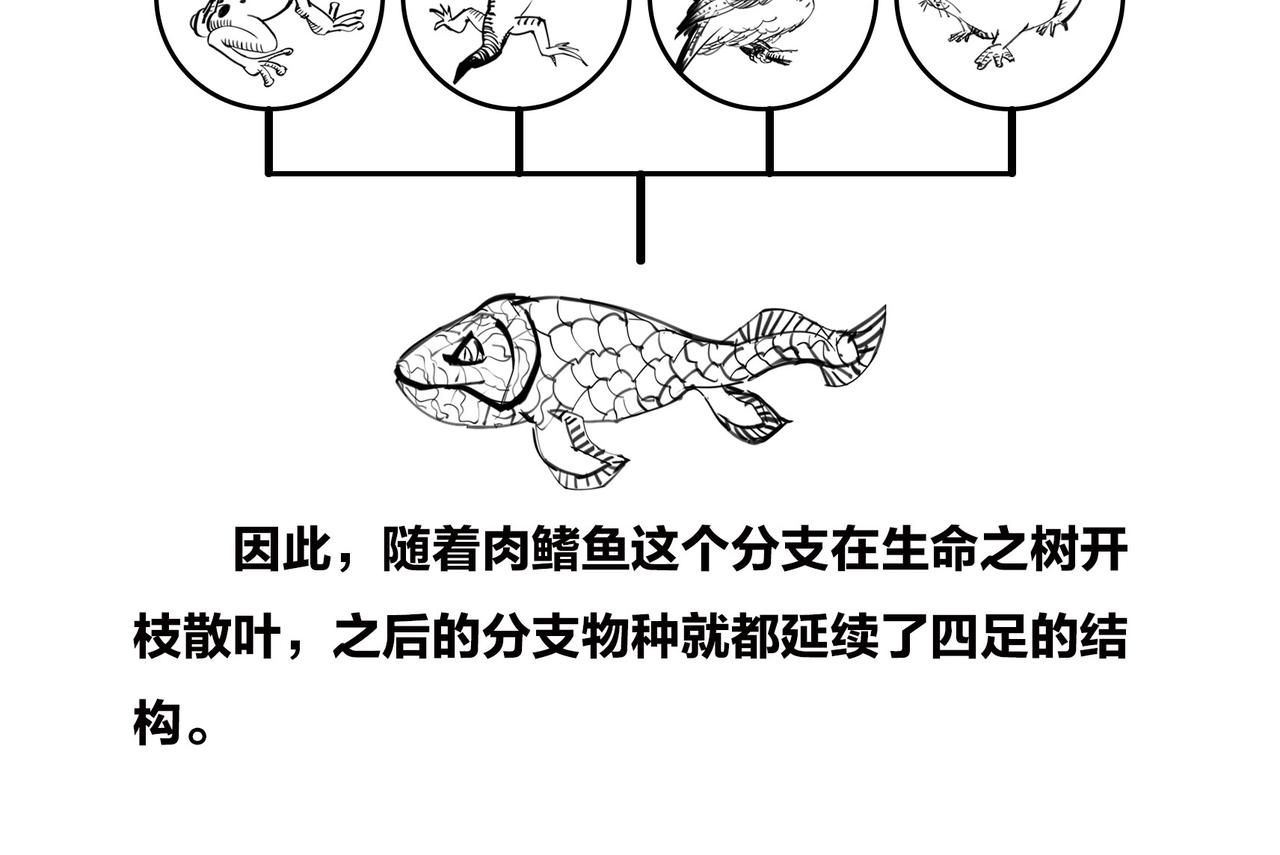 《1小时看懂相对论》火箭粗不粗，那得看…马屁肥不肥？ 第22页
