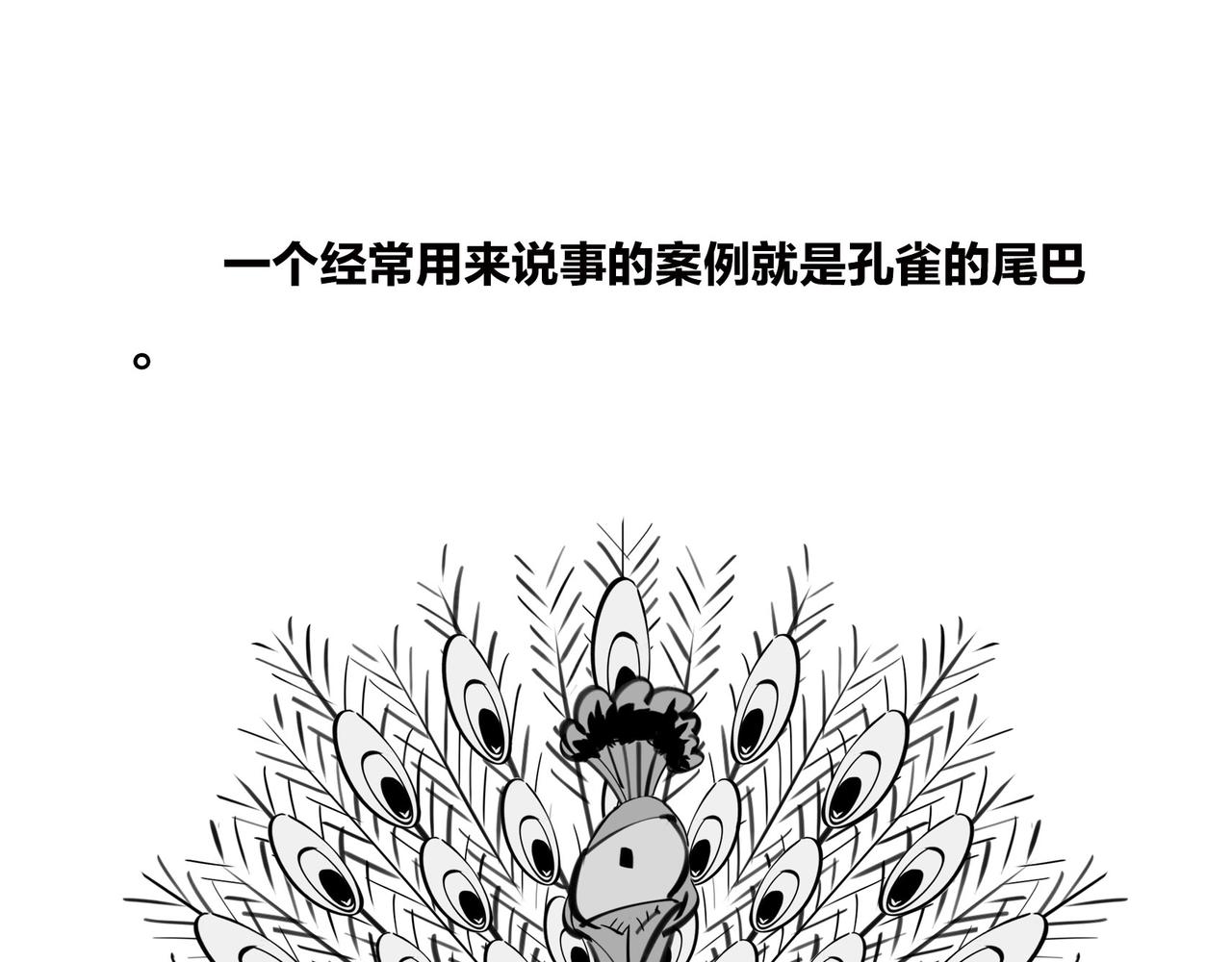 《1小时看懂相对论》生命从不主动，进化只是妥协 第15页