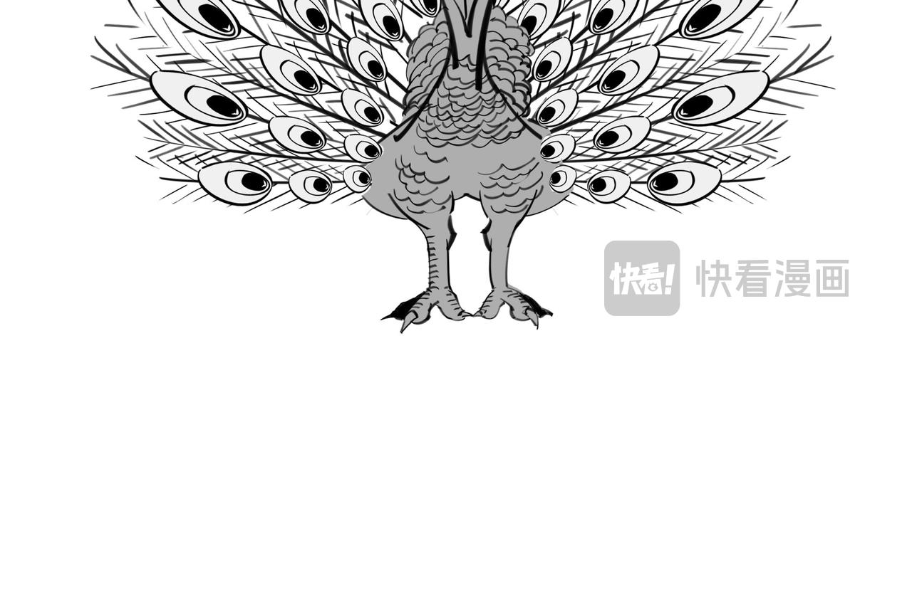 《1小时看懂相对论》生命从不主动，进化只是妥协 第16页