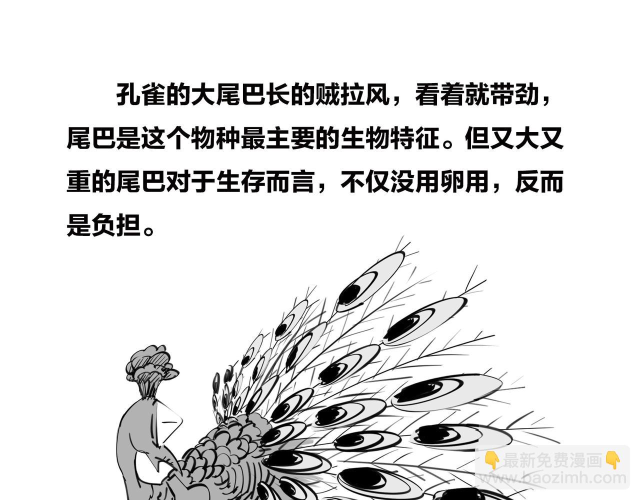 《1小时看懂相对论》生命从不主动，进化只是妥协 第17页