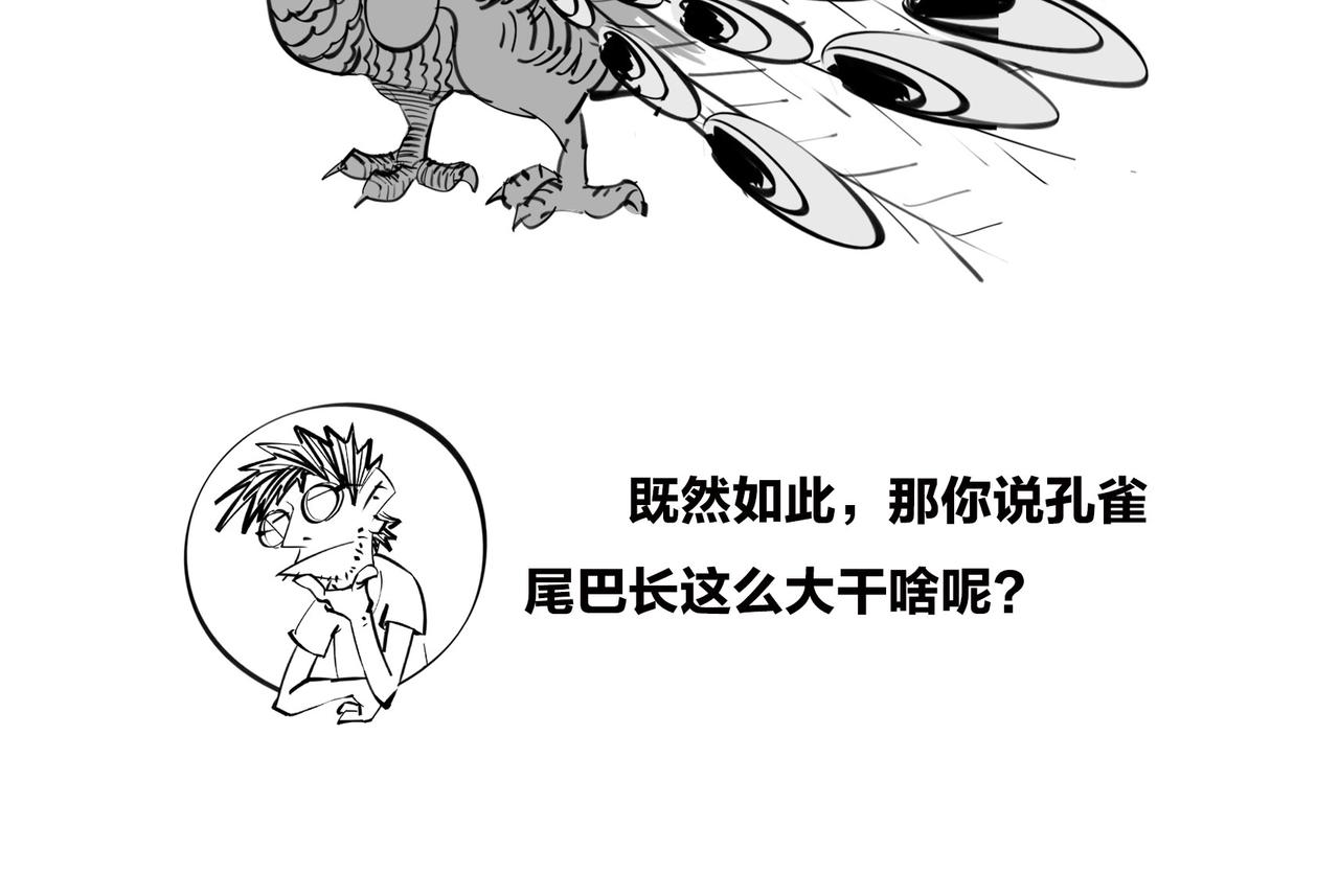 《1小时看懂相对论》生命从不主动，进化只是妥协 第18页