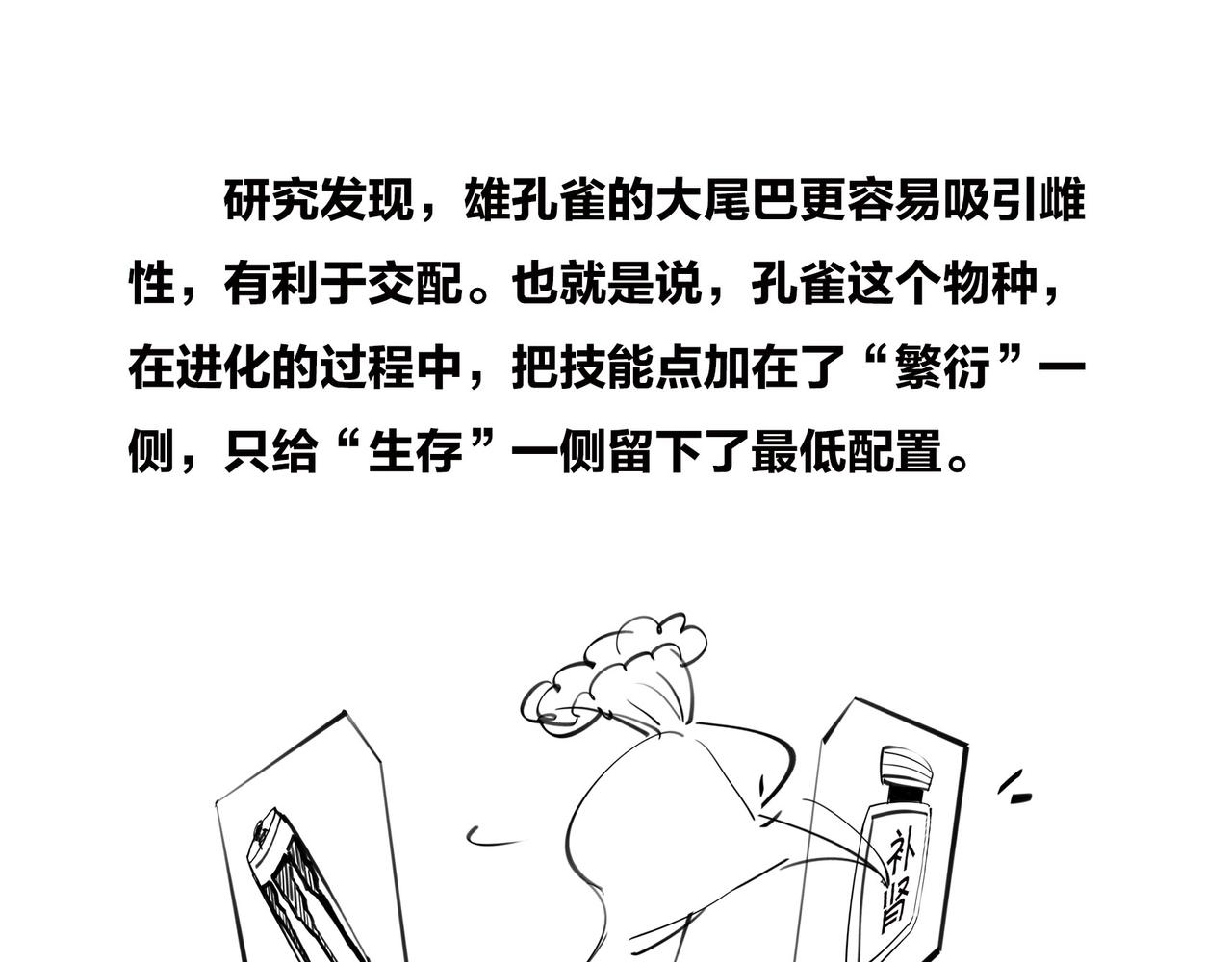 《1小时看懂相对论》生命从不主动，进化只是妥协 第19页
