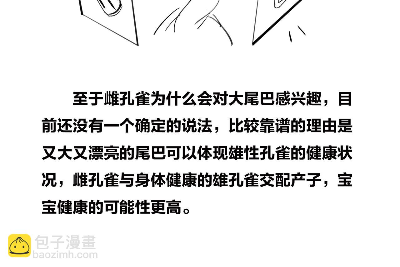 《1小时看懂相对论》生命从不主动，进化只是妥协 第20页