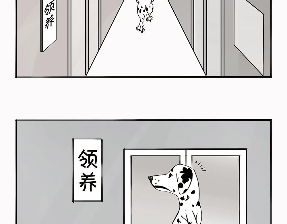 《1小时看懂相对论》宠物医院 第14页