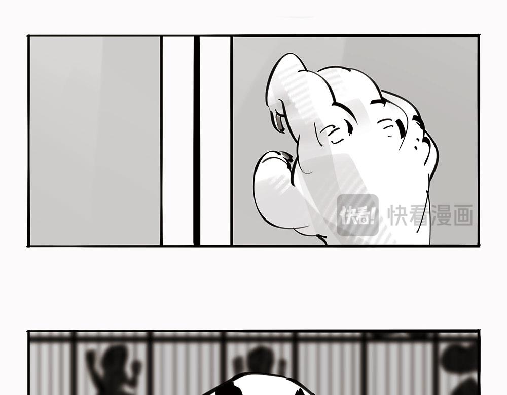 《1小时看懂相对论》宠物医院 第16页