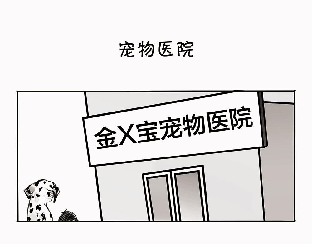 《1小时看懂相对论》宠物医院 第1页
