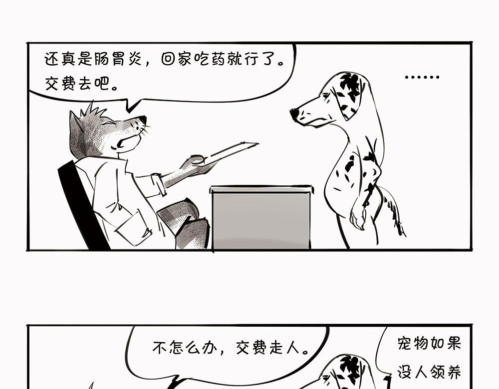 《1小时看懂相对论》宠物医院 第31页